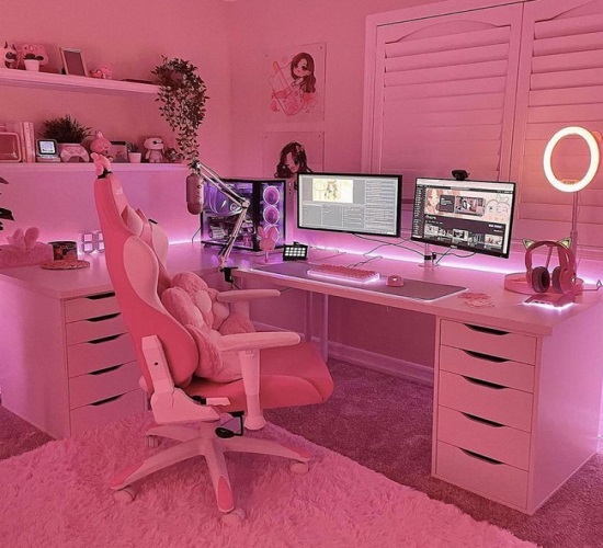 Dreamy Looking Girly Pink Gaming Setup