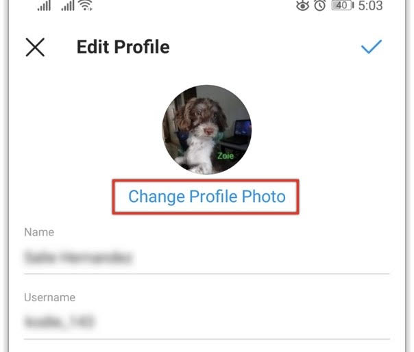 how to see Instagram dp easy steps