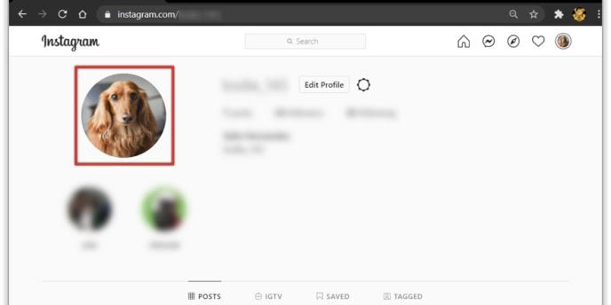 how to see Instagram dp tricks