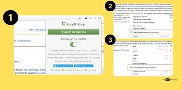 CroxyProxy Chrome Extention For Using